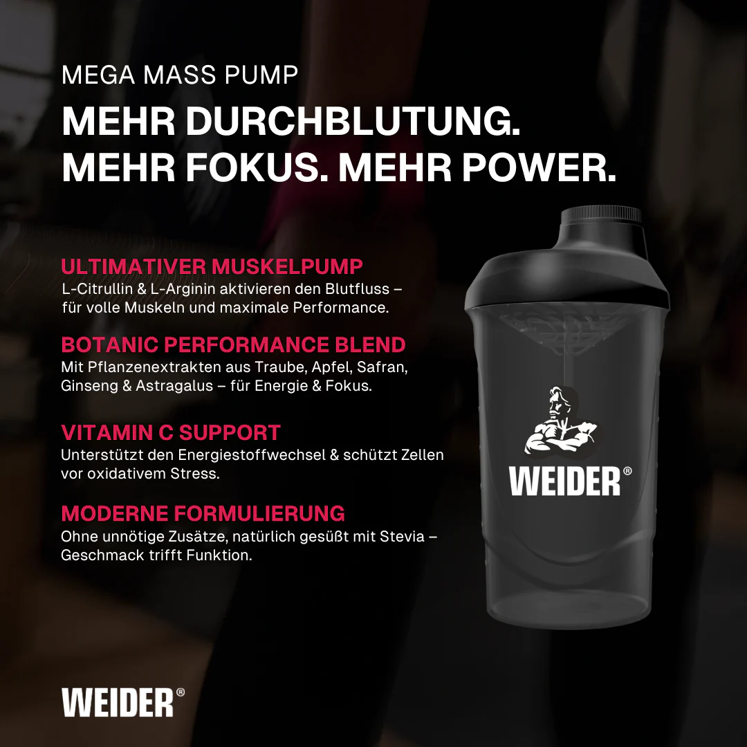 Vorschaubild 4